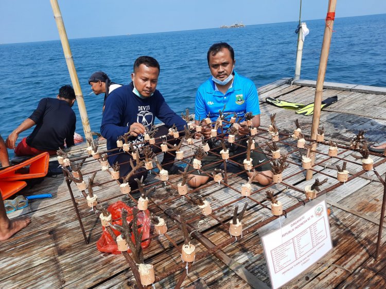 Kegiatan Rehabilitasi Wilayah Pesisir dan Pulau-pulau Kecil