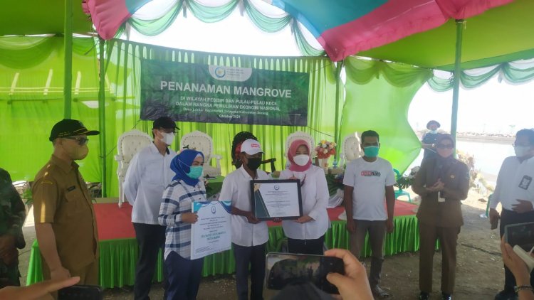 Penanaman Mangrove di Wilayah Pesisir dan Pulau Pulau Kecil