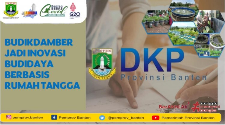 BUDIKDAMBER INOVASI BUDIDAYA BERBASIS RUMAH TANGGA UNTUK MENCEGAH STUNTING