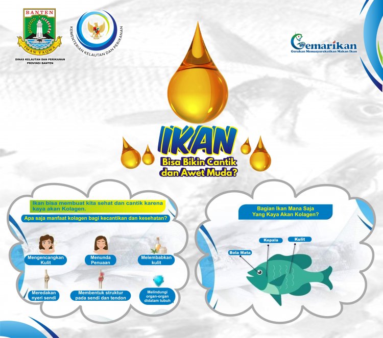 Apa Betul Makan Ikan Membuat Awet Muda dan Menjaga Kesehatan ???? Ayo Simak Infografis Keunggulan Konsumsi Ikan bagi Tubuh.