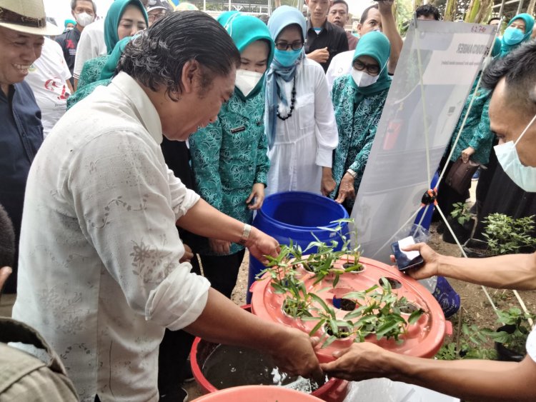 Pj Gubernur Banten Al Muktabar Ajak Optimalkan Pekarangan Rumah Untuk Ketahanan Keluarga melalui Budikdamber