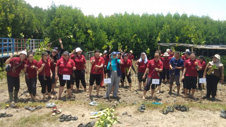 Peningkatan Peran Masyarakat melalui Penanaman Mangrove di Desa Lontar Kabupaten Serang