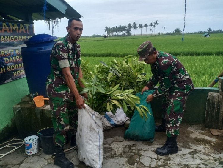 Koramil 0314/Pgr Terima Bantuan Bibit Mangroove dari DKP Banten