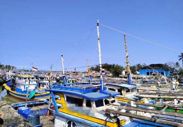 Potensi Laut Melimpah, Pemprov Banten Jadi Tambang Investasi Sektor Perikanan dan Industri Olahan