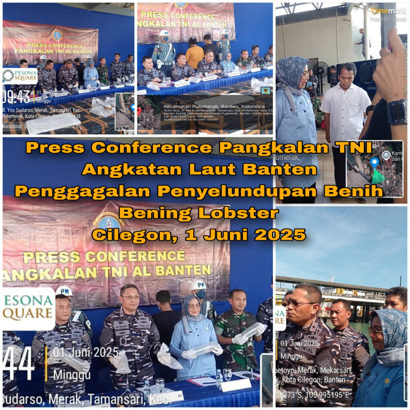 Penyelundupan Benih Bening Lobster (BBL) di Pelabuhan Merak