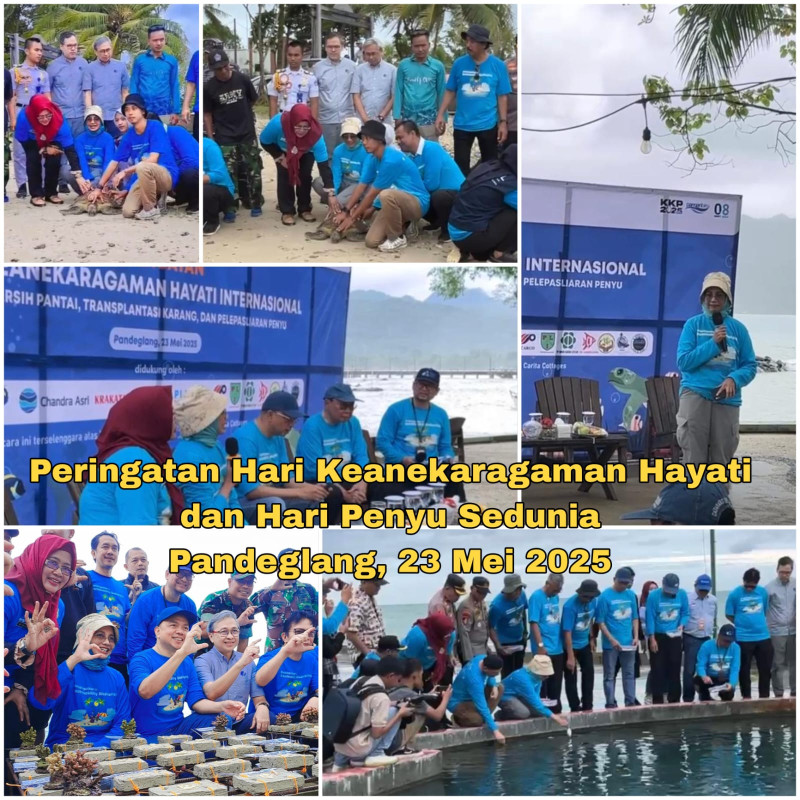 Peringatan Hari Keanekaragaman Hayati Sedunia dan Hari Penyu Sedunia